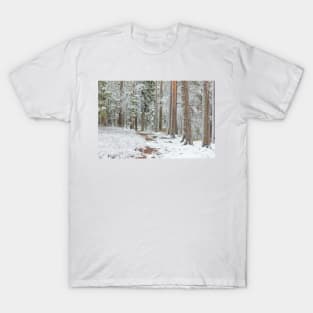 Beautiful serene winter forest landscape T-Shirt